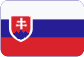 Rodamientos SKF Slovensky